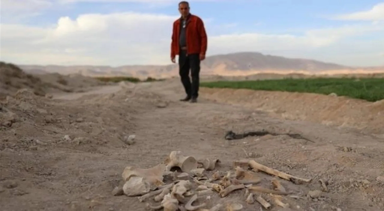 سوريا: العثور على مقبرة جماعية بحي السحاري في درعا